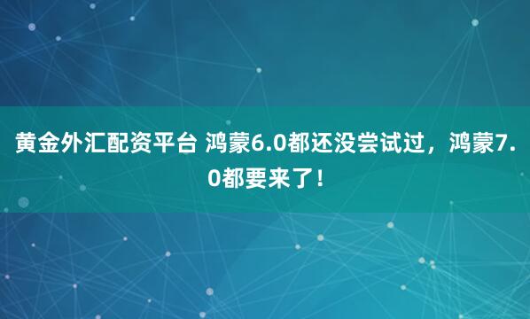 黄金外汇配资平台 鸿蒙6.0都还没尝试过，鸿蒙7.0都要来了！